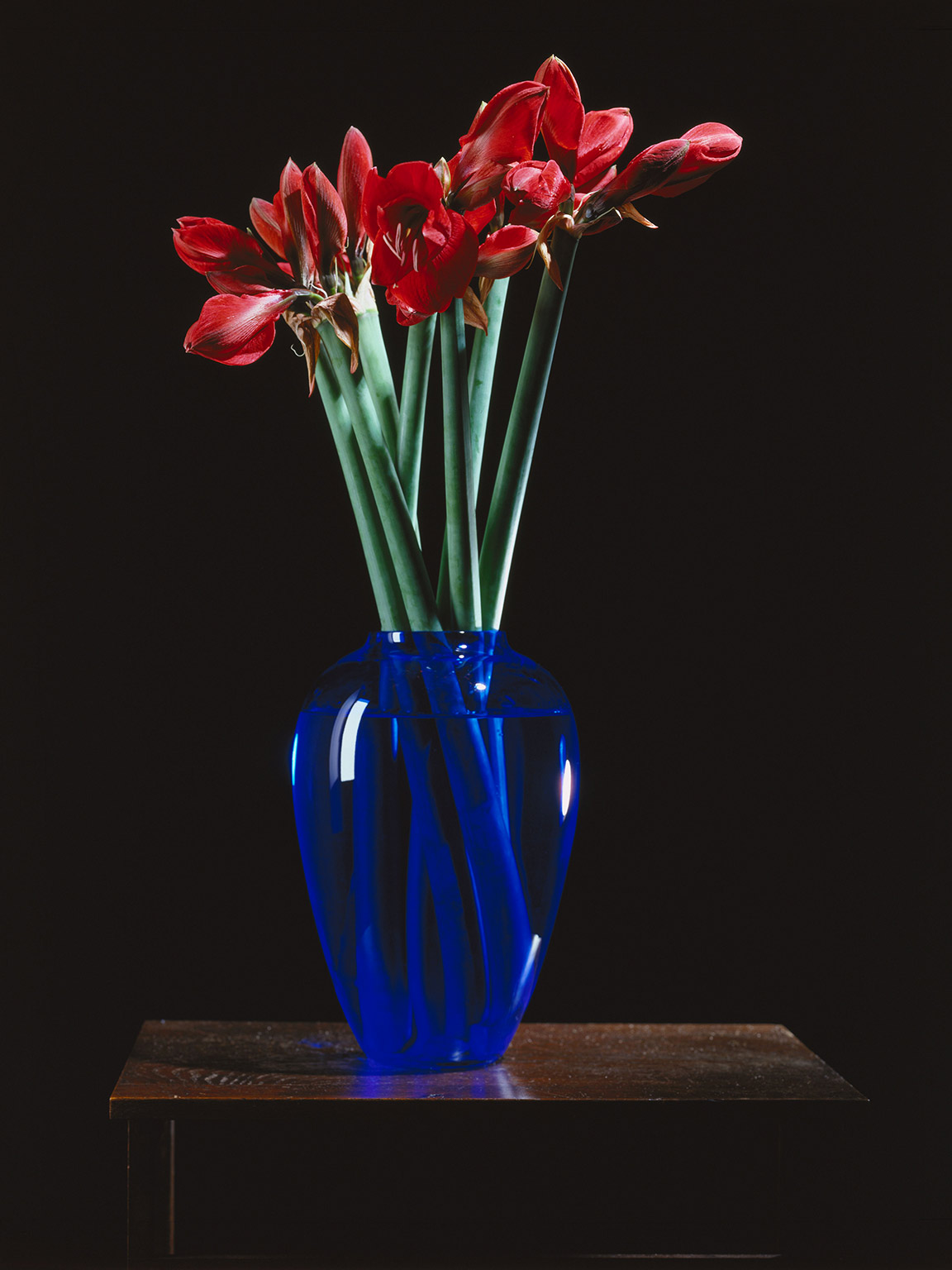 Blumensträuße 1996