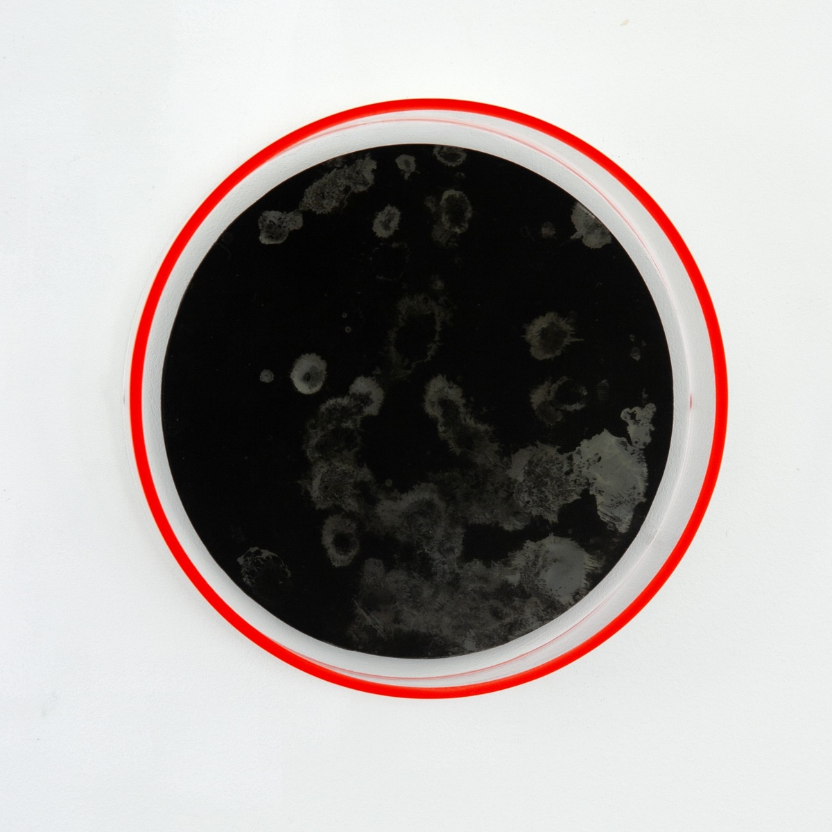 DD18O01, 2018