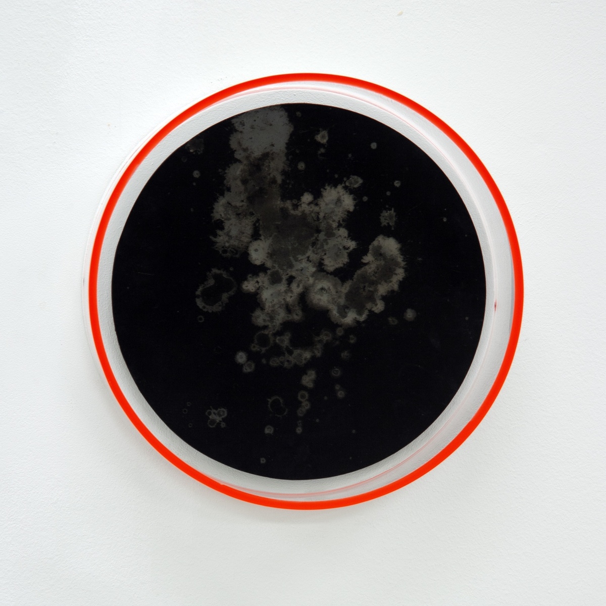 DD18O02, 2018