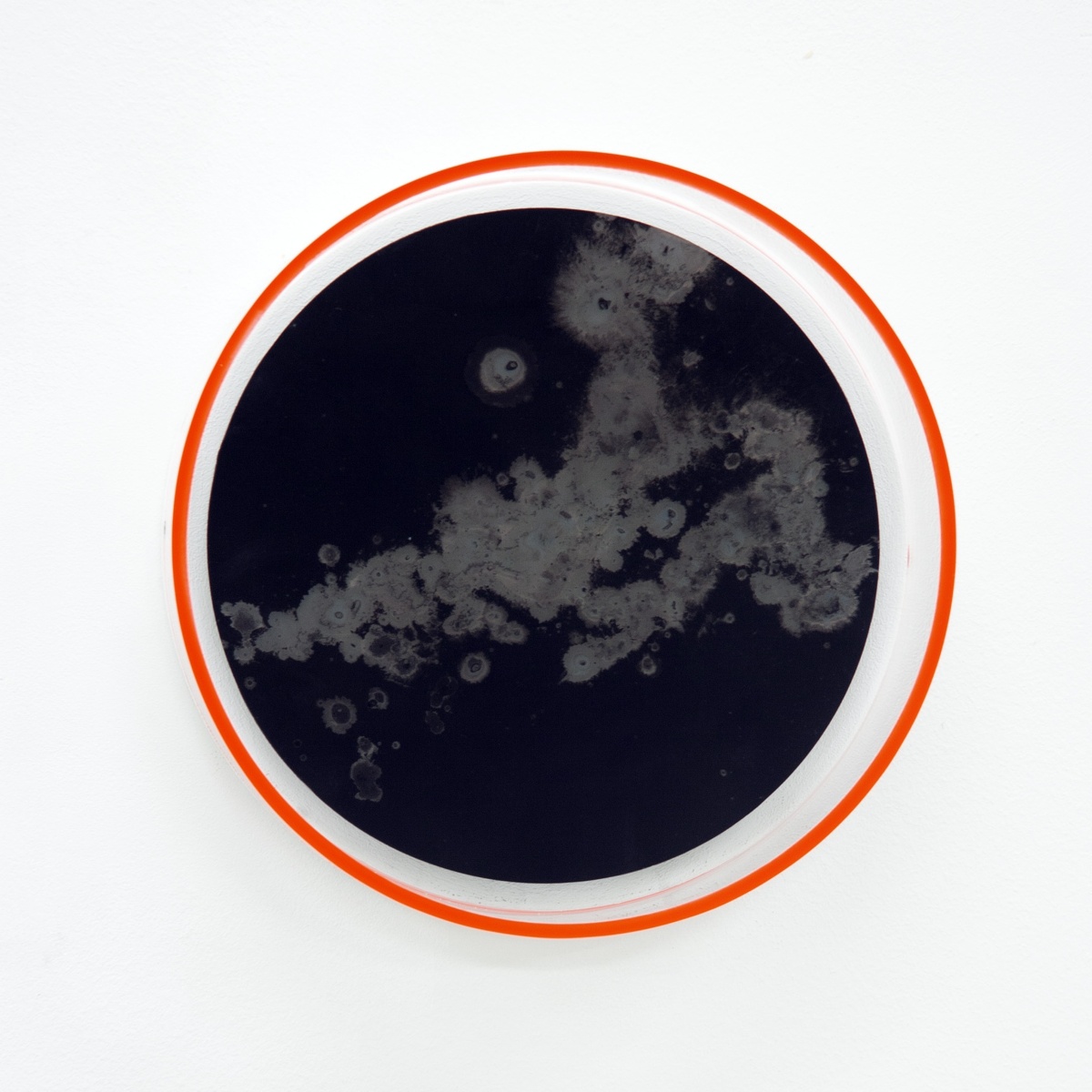 DD18O03, 2018
